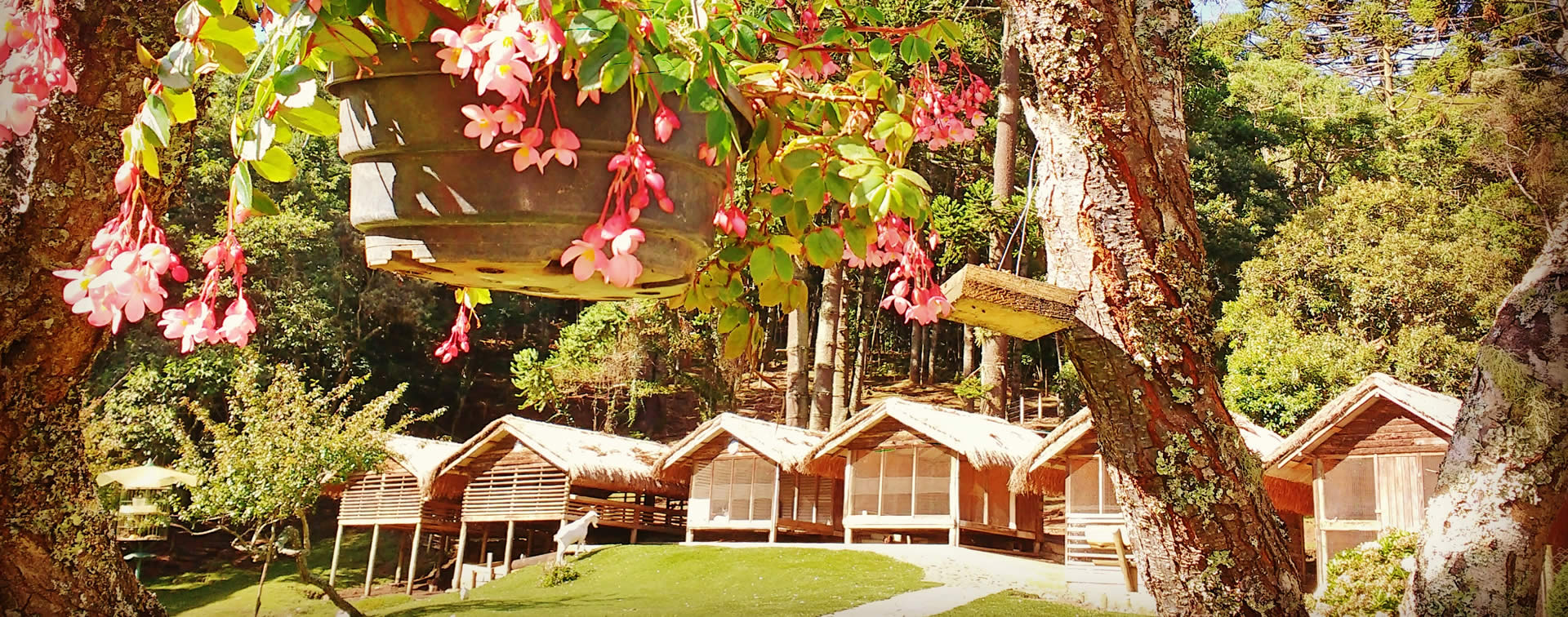 Como funciona a Fazendinha Toriba, do Hotel Toriba, em Campos do Jordão