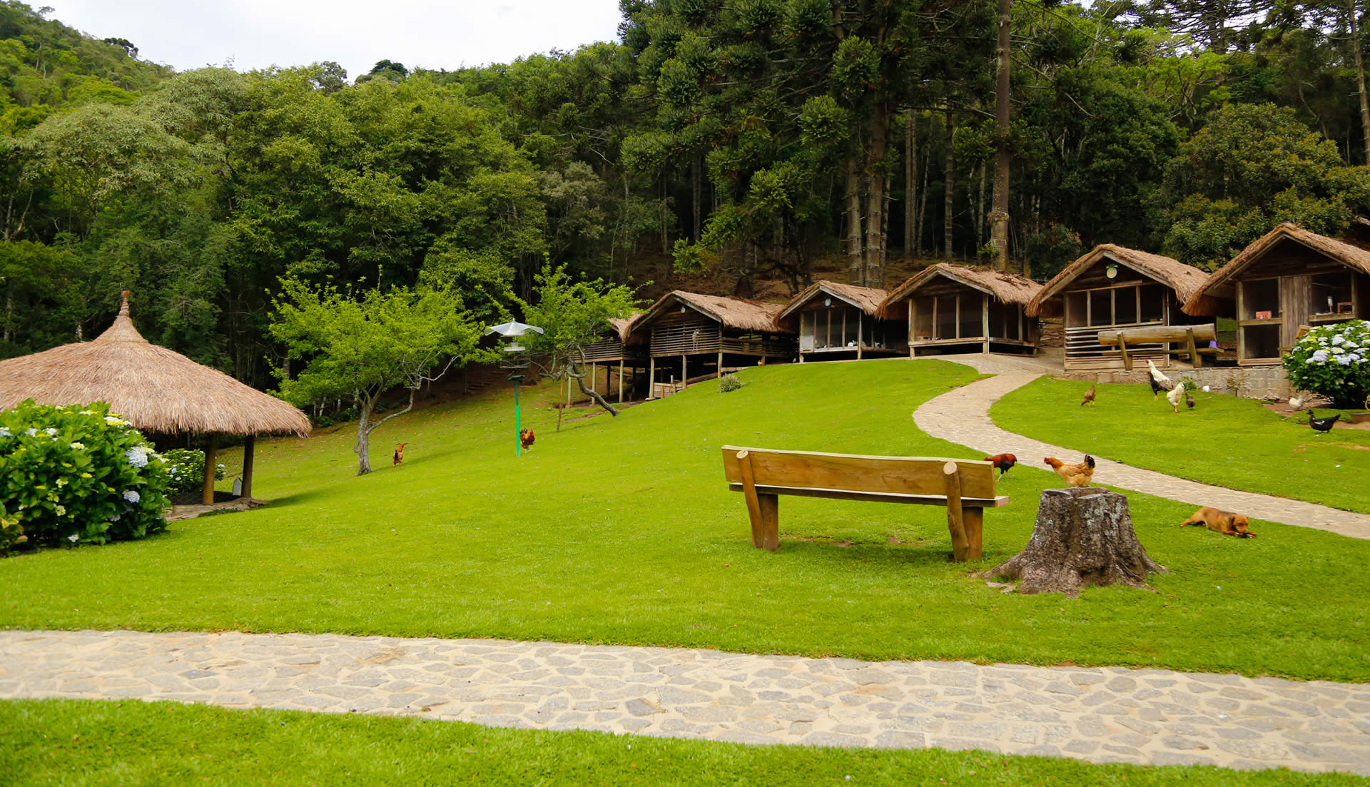 Bichos da Fazendinha Toriba em Campos do Jordão